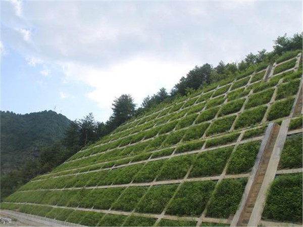 崇靖高速